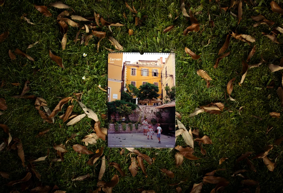 Fotografický tisk položený na mechu a listí