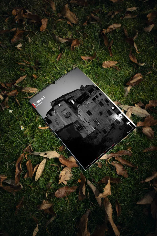 Černobílý fotografický tisk mezi podzimním listím